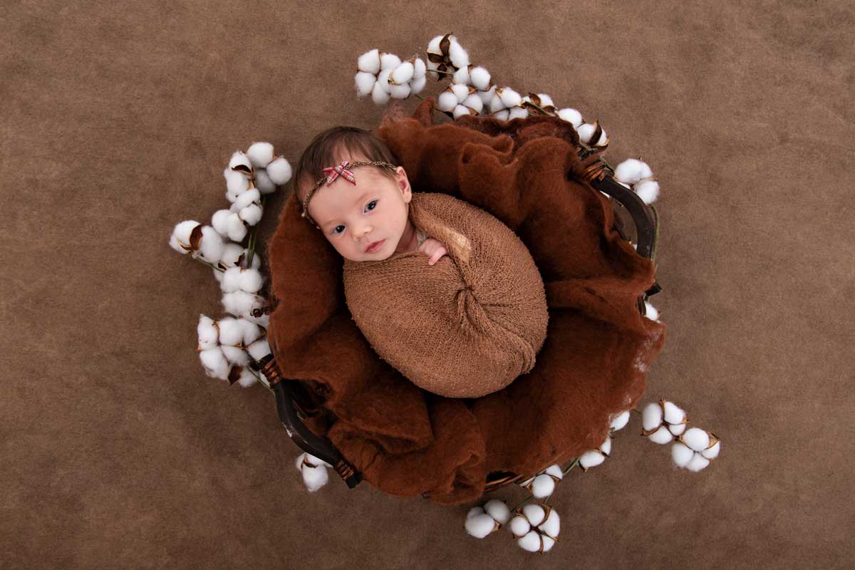neugeborenen-Fotoshooting Baby-im Korb-mit-Blumen-drumherum